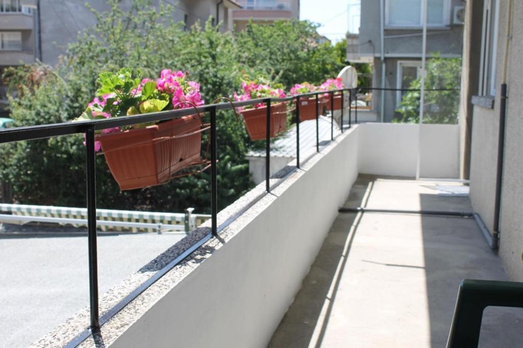 Sunny Day Apartment 帕莫瑞 外观 照片